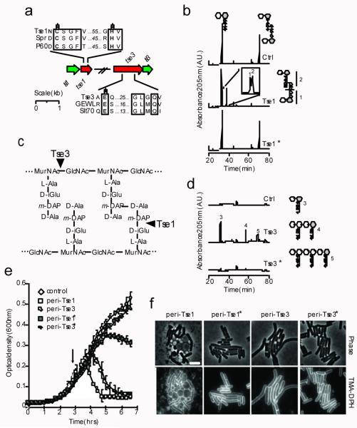 https://cdn.ncbi.nlm.nih.gov/pmc/blobs/1489/3146020/86e9b9bb9e20/nihms-313070-f0001.jpg