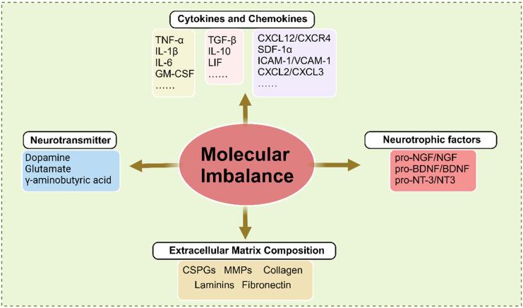 https://cdn.ncbi.nlm.nih.gov/pmc/blobs/14c7/12160932/f2ea0fb2fd73/ijbsv21p3791g003.jpg