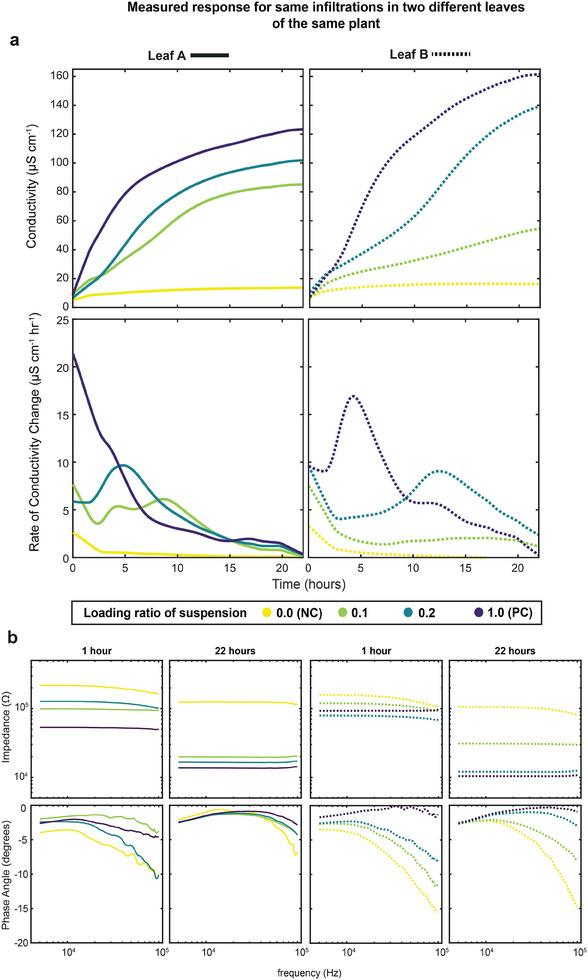 https://cdn.ncbi.nlm.nih.gov/pmc/blobs/14e1/11187890/a2d813a33229/ADVS-11-2400225-g003.jpg