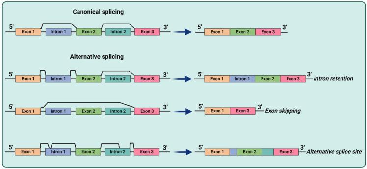https://cdn.ncbi.nlm.nih.gov/pmc/blobs/151f/9856195/58aa44b20d69/biomedicines-11-00036-g001.jpg