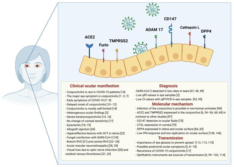 https://cdn.ncbi.nlm.nih.gov/pmc/blobs/152d/8065845/9b5781d6e2a8/cells-10-00796-g001.jpg