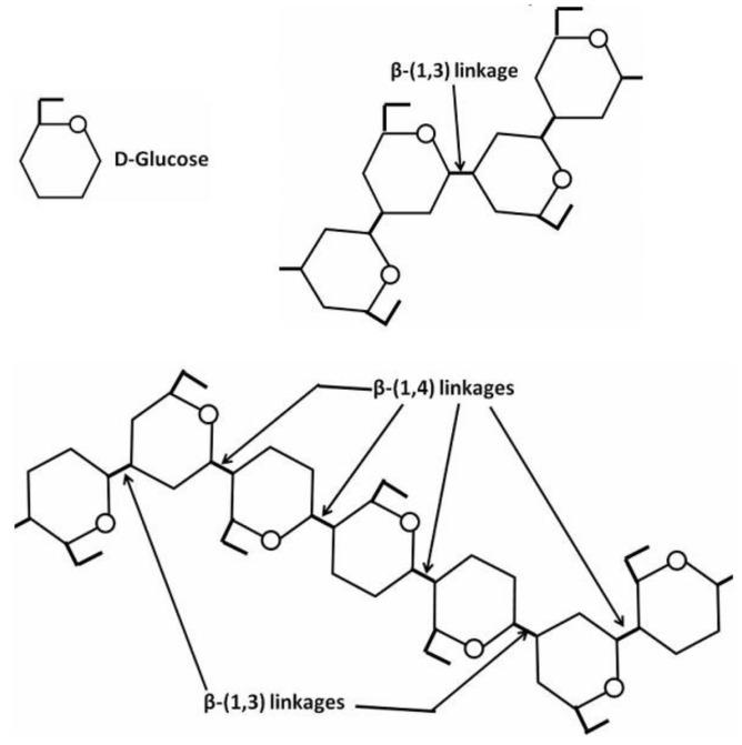 https://cdn.ncbi.nlm.nih.gov/pmc/blobs/1531/8232642/1b8b934b246a/molecules-26-03657-g003.jpg