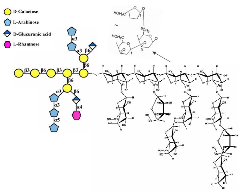 https://cdn.ncbi.nlm.nih.gov/pmc/blobs/1531/8232642/2125e353c0d8/molecules-26-03657-g002.jpg