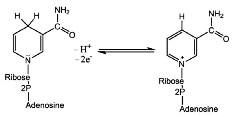 https://cdn.ncbi.nlm.nih.gov/pmc/blobs/1531/8232642/61d82baf28f2/molecules-26-03657-g004.jpg