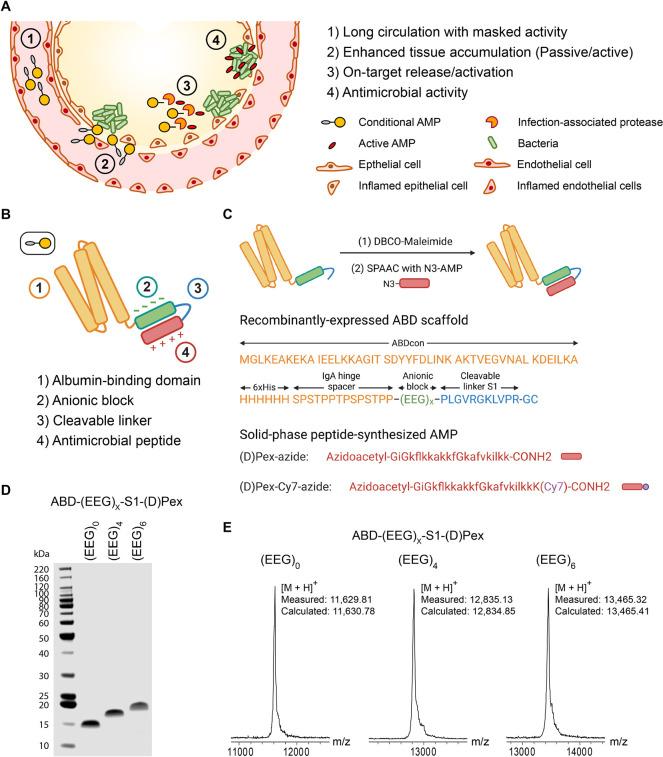 https://cdn.ncbi.nlm.nih.gov/pmc/blobs/1532/9619929/a27af0fc2a1e/nn2c04162_0001.jpg
