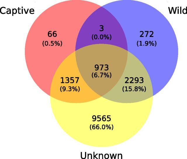 https://cdn.ncbi.nlm.nih.gov/pmc/blobs/1574/6511006/c704ad17ec3b/pnas.1816367116fig03.jpg