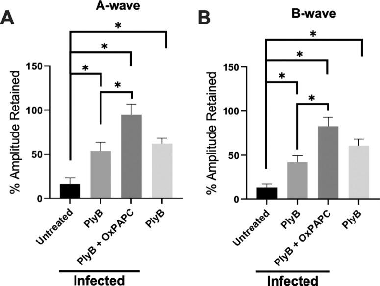 https://cdn.ncbi.nlm.nih.gov/pmc/blobs/157e/11741065/059de913284e/iovs-66-1-39-f002.jpg