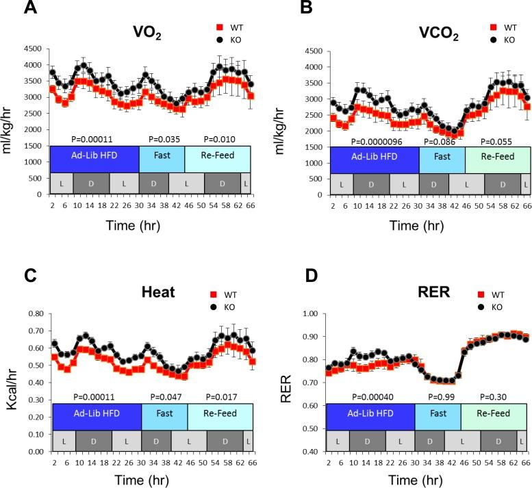 https://cdn.ncbi.nlm.nih.gov/pmc/blobs/1584/5058687/5d63123bc068/oncotarget-07-30379-g001.jpg