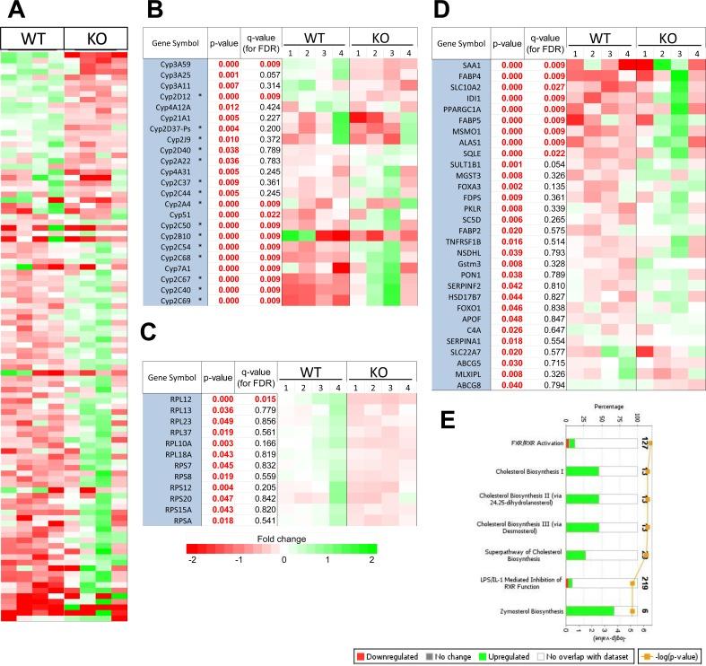 https://cdn.ncbi.nlm.nih.gov/pmc/blobs/1584/5058687/c19884009ab4/oncotarget-07-30379-g003.jpg