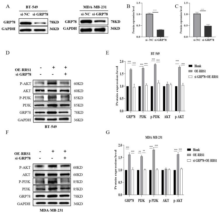 https://cdn.ncbi.nlm.nih.gov/pmc/blobs/1585/10934892/46c6fdea780c/molecules-29-01051-g006.jpg
