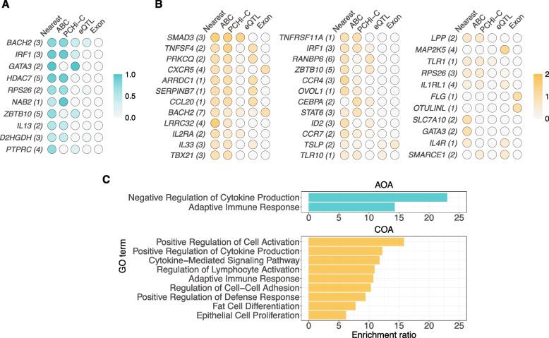 https://cdn.ncbi.nlm.nih.gov/pmc/blobs/158a/11983851/8c398084847f/13073_2025_1459_Fig4_HTML.jpg
