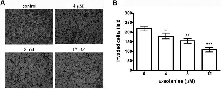 https://cdn.ncbi.nlm.nih.gov/pmc/blobs/15a1/6271914/146dbc1a60f6/molecules-19-11896-g003.jpg