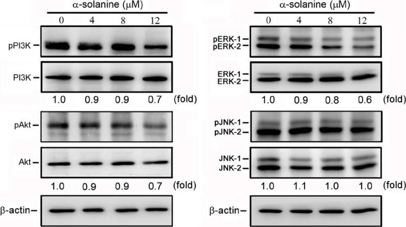 https://cdn.ncbi.nlm.nih.gov/pmc/blobs/15a1/6271914/abc9dec9f336/molecules-19-11896-g006.jpg