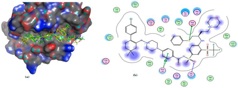 https://cdn.ncbi.nlm.nih.gov/pmc/blobs/15cf/11478142/0e21a3748bac/molecules-29-04697-g012.jpg