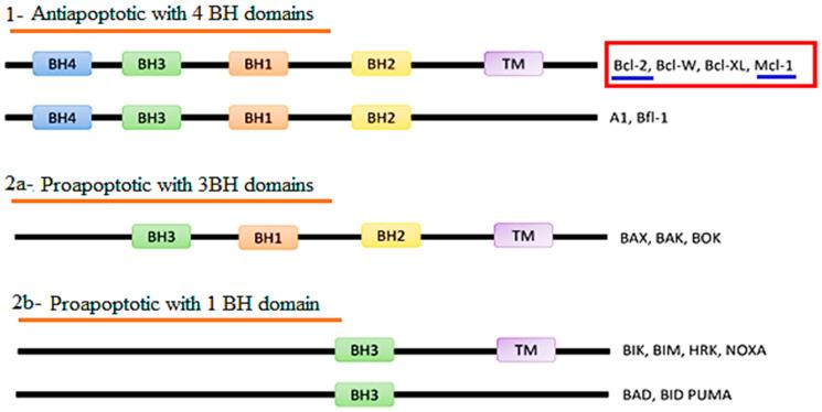 https://cdn.ncbi.nlm.nih.gov/pmc/blobs/15cf/11478142/ce4ab7812851/molecules-29-04697-g001.jpg