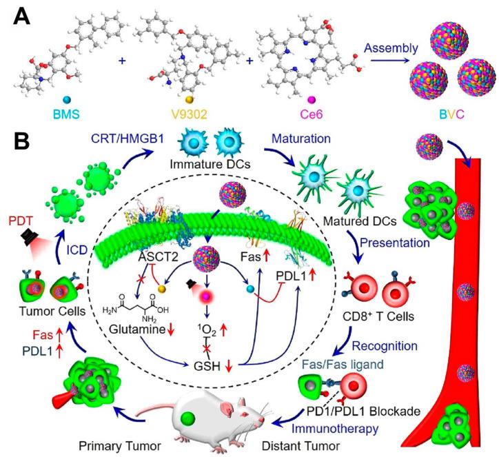 https://cdn.ncbi.nlm.nih.gov/pmc/blobs/15d4/10608994/232892d551ed/molecules-28-07065-g003.jpg