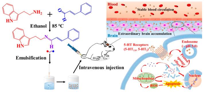 https://cdn.ncbi.nlm.nih.gov/pmc/blobs/15d4/10608994/5e9e49ba7b6f/molecules-28-07065-g005.jpg