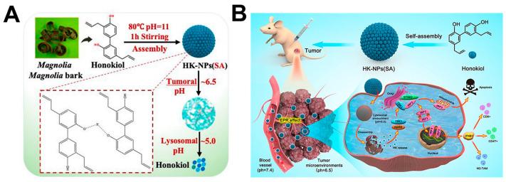 https://cdn.ncbi.nlm.nih.gov/pmc/blobs/15d4/10608994/7101e5821c45/molecules-28-07065-g001.jpg