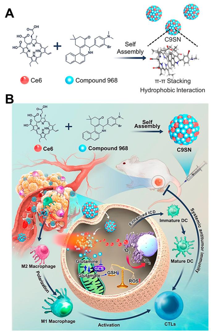 https://cdn.ncbi.nlm.nih.gov/pmc/blobs/15d4/10608994/7f9757e4d793/molecules-28-07065-g002.jpg