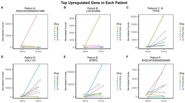 https://cdn.ncbi.nlm.nih.gov/pmc/blobs/15d4/9031617/6fc2e09269f3/genes-13-00680-g005.jpg