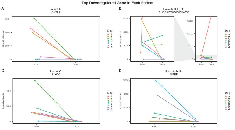 https://cdn.ncbi.nlm.nih.gov/pmc/blobs/15d4/9031617/d4059b32c0c5/genes-13-00680-g006.jpg