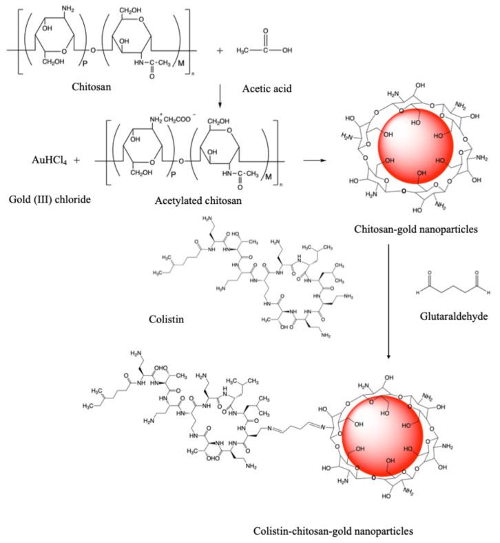 https://cdn.ncbi.nlm.nih.gov/pmc/blobs/15e5/11274357/0c504af4daab/antibiotics-13-00630-g002.jpg