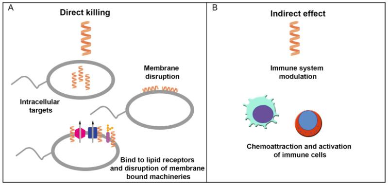 https://cdn.ncbi.nlm.nih.gov/pmc/blobs/15f0/10537560/303c489c8b51/pharmaceuticals-16-01281-g002.jpg