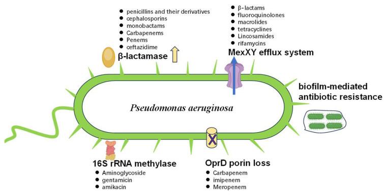 https://cdn.ncbi.nlm.nih.gov/pmc/blobs/1608/12030990/e8ca2266d7b4/toxics-13-00303-g003.jpg