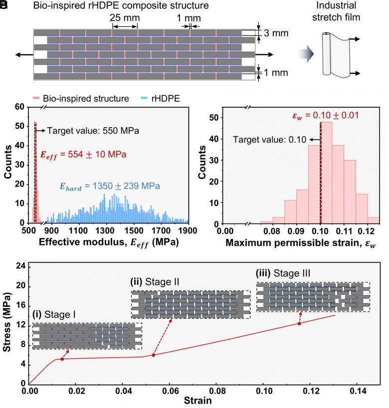 https://cdn.ncbi.nlm.nih.gov/pmc/blobs/1613/12377729/e020c38854bb/pnas.2502613122fig06.jpg