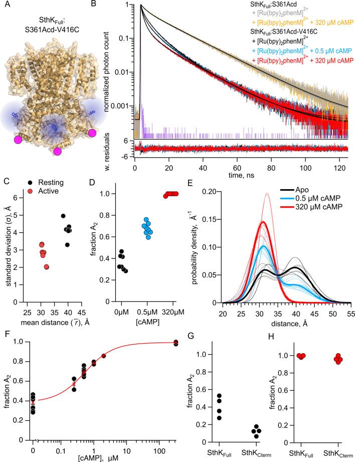 https://cdn.ncbi.nlm.nih.gov/pmc/blobs/161b/12342821/f91bfdb87026/elife-106892-fig6.jpg