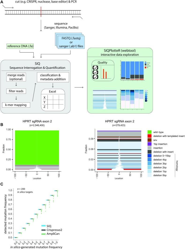 https://cdn.ncbi.nlm.nih.gov/pmc/blobs/1628/9442499/63edd8e1a72b/lqac063fig1.jpg