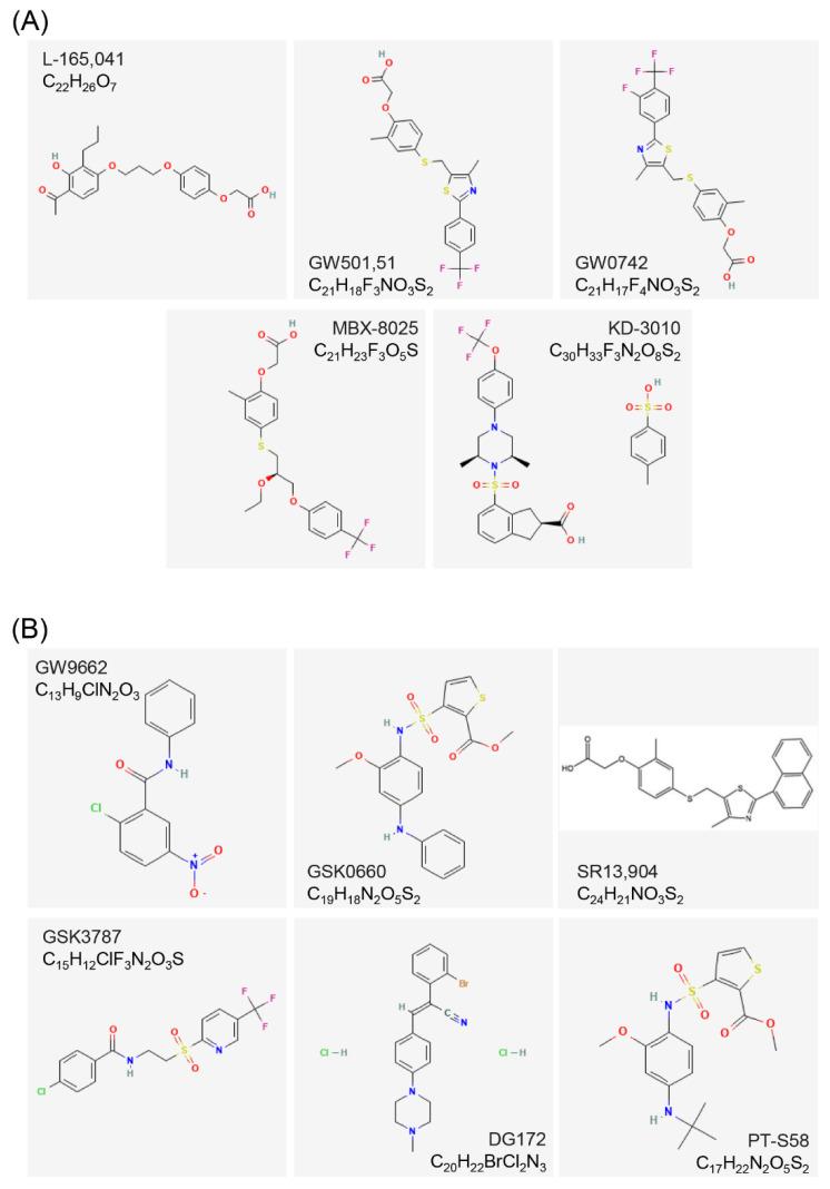 https://cdn.ncbi.nlm.nih.gov/pmc/blobs/1630/9818187/27314388df85/cells-12-00130-g004.jpg
