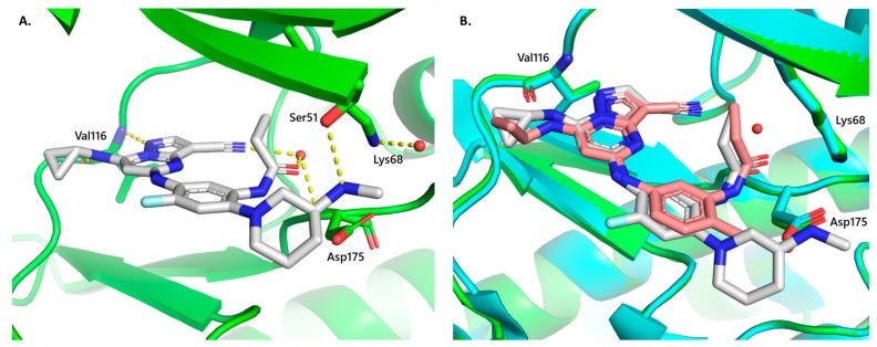 https://cdn.ncbi.nlm.nih.gov/pmc/blobs/1633/11397024/889e7401170d/molecules-29-04158-g002.jpg