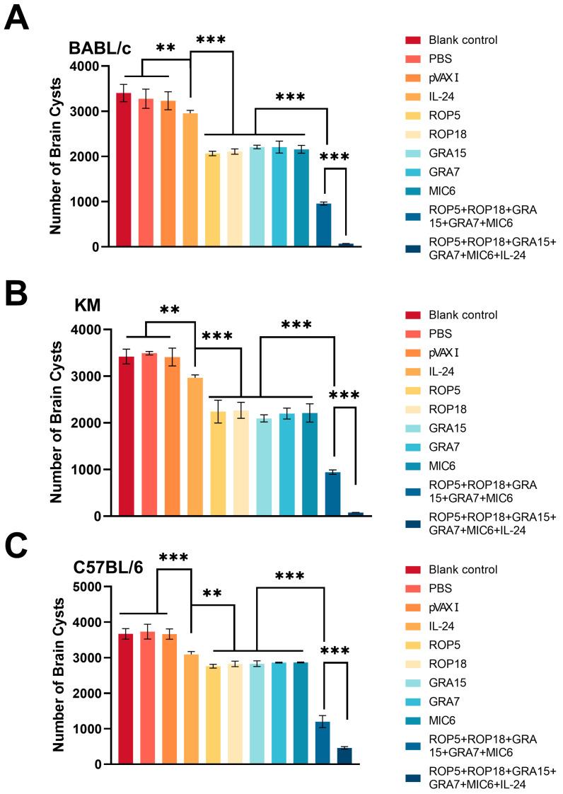 https://cdn.ncbi.nlm.nih.gov/pmc/blobs/1643/12299984/8f96a41cb298/microorganisms-13-01661-g007.jpg