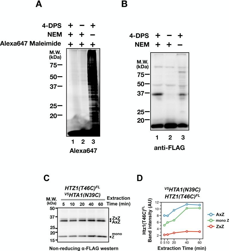 https://cdn.ncbi.nlm.nih.gov/pmc/blobs/165e/6107336/e367c6262b91/elife-36654-fig1-figsupp3.jpg