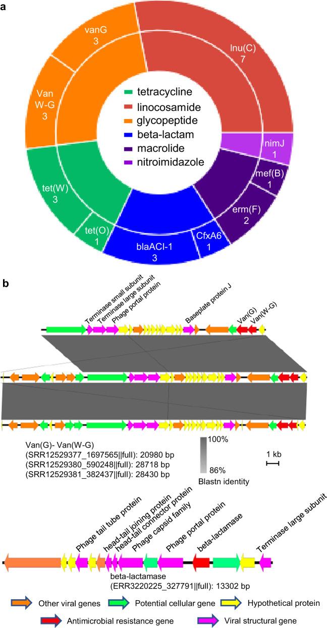 https://cdn.ncbi.nlm.nih.gov/pmc/blobs/166d/10465536/7c62e4fae235/41467_2023_41075_Fig5_HTML.jpg