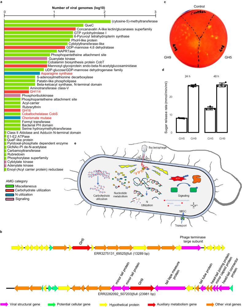 https://cdn.ncbi.nlm.nih.gov/pmc/blobs/166d/10465536/cc7e37354abd/41467_2023_41075_Fig4_HTML.jpg