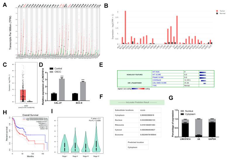 https://cdn.ncbi.nlm.nih.gov/pmc/blobs/167b/11593781/91bbe2a67429/genes-15-01461-g001.jpg