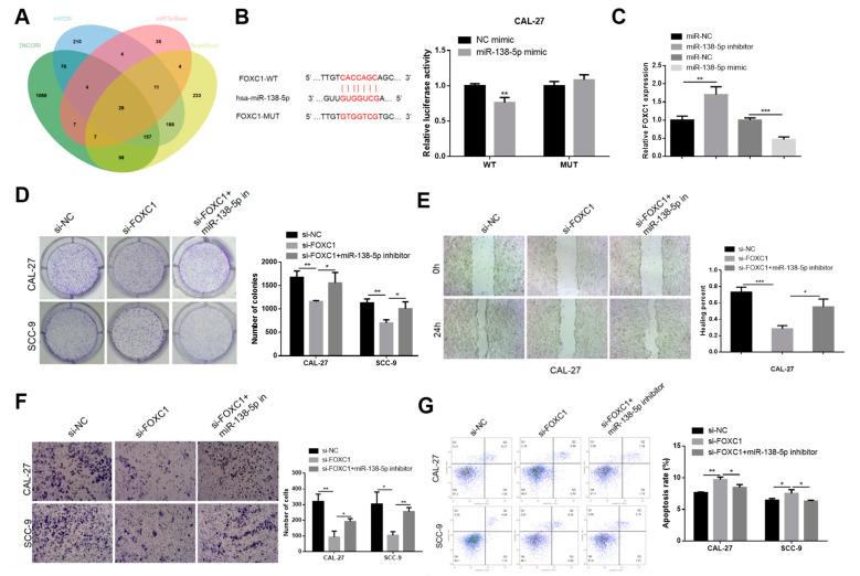 https://cdn.ncbi.nlm.nih.gov/pmc/blobs/167b/11593781/a0a053cdfff0/genes-15-01461-g005.jpg