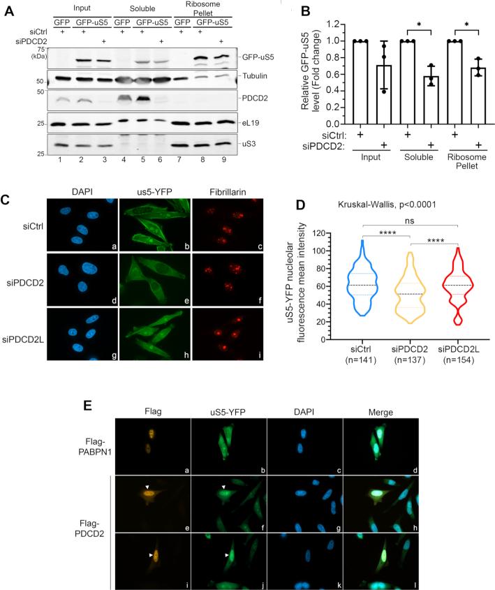 https://cdn.ncbi.nlm.nih.gov/pmc/blobs/1682/7736825/78ee6575d34a/gkaa1108fig6.jpg