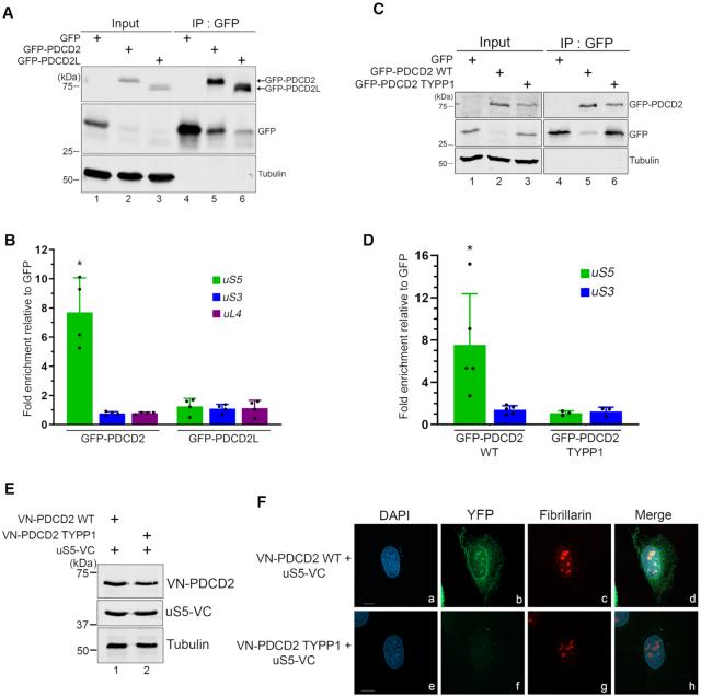 https://cdn.ncbi.nlm.nih.gov/pmc/blobs/1682/7736825/e5357b8c02de/gkaa1108fig5.jpg