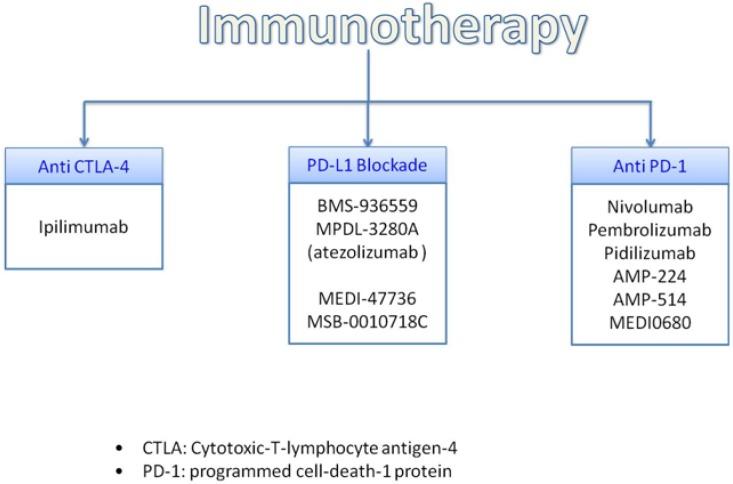 https://cdn.ncbi.nlm.nih.gov/pmc/blobs/168d/5823579/46fe9bcbfa2a/oncotarget-09-8785-g004.jpg