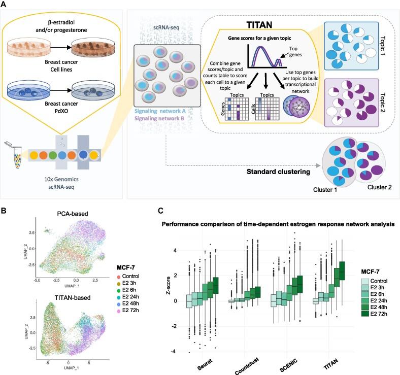 https://cdn.ncbi.nlm.nih.gov/pmc/blobs/168e/9723652/c54a089dd60a/gkac908fig1.jpg