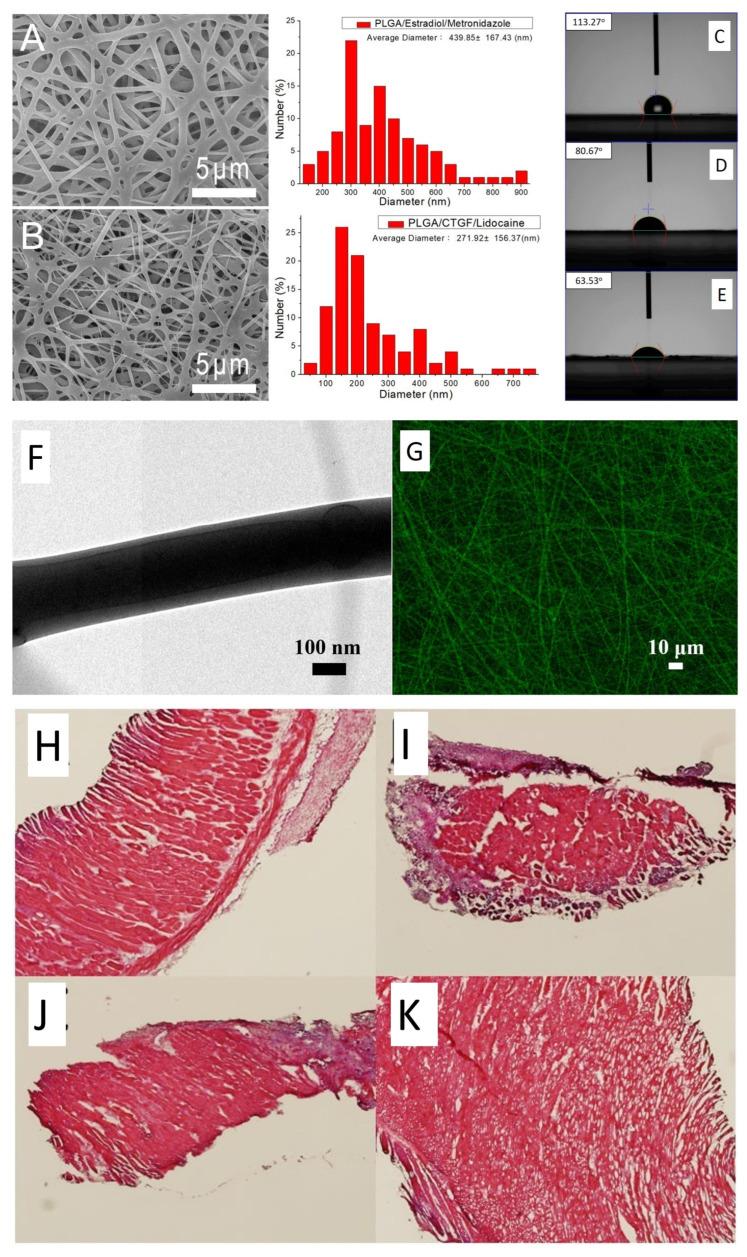 https://cdn.ncbi.nlm.nih.gov/pmc/blobs/16a7/10376078/e5ab1de79ad3/bioengineering-10-00790-g003.jpg