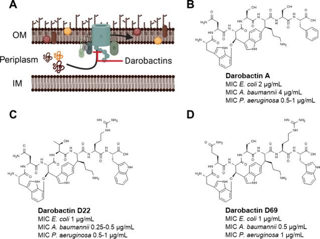 https://cdn.ncbi.nlm.nih.gov/pmc/blobs/16a7/11650638/335d19254da5/id4c00687_0001.jpg