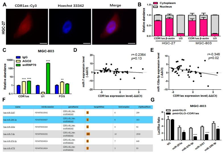 https://cdn.ncbi.nlm.nih.gov/pmc/blobs/16bd/10705315/0ced61c143ae/cancers-15-05556-g003a.jpg