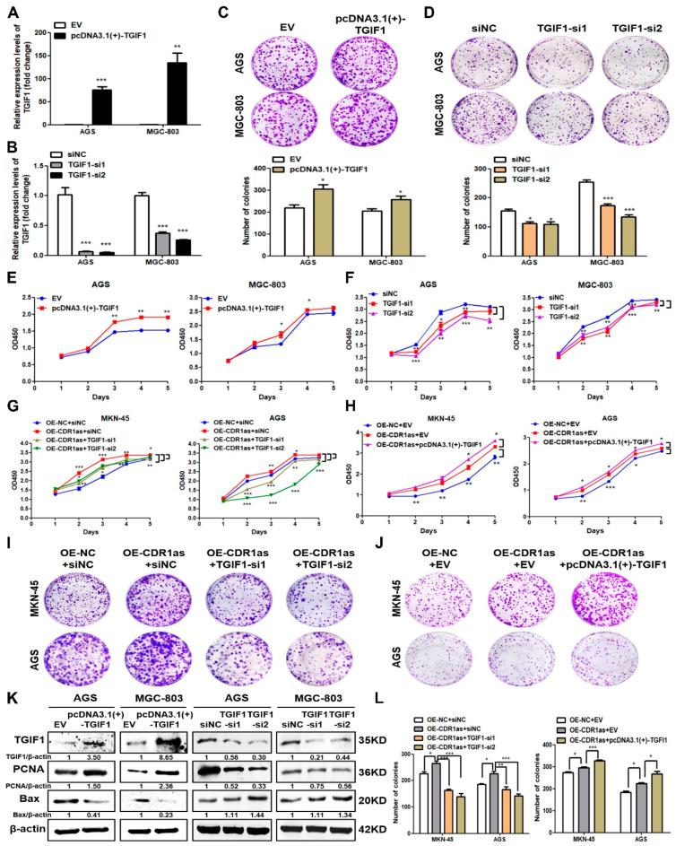 https://cdn.ncbi.nlm.nih.gov/pmc/blobs/16bd/10705315/cd63a5411c1f/cancers-15-05556-g005.jpg