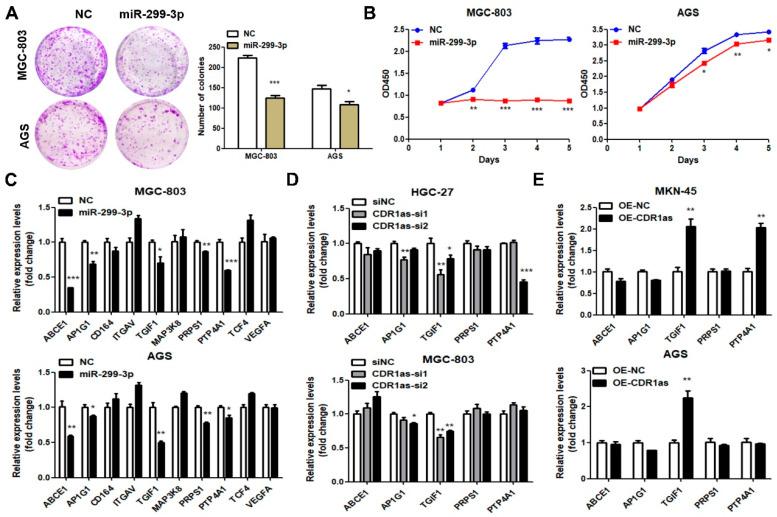 https://cdn.ncbi.nlm.nih.gov/pmc/blobs/16bd/10705315/d41da1b5aec6/cancers-15-05556-g004a.jpg