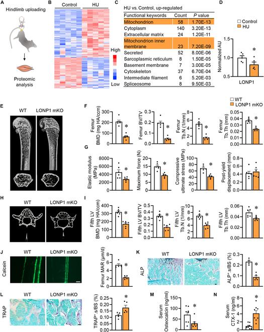 https://cdn.ncbi.nlm.nih.gov/pmc/blobs/16c1/11362843/30650820cf67/research.0465.fig.001.jpg