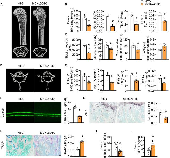https://cdn.ncbi.nlm.nih.gov/pmc/blobs/16c1/11362843/cf7abbc5bbe4/research.0465.fig.003.jpg